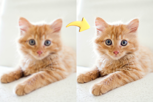 AI Image Upscale