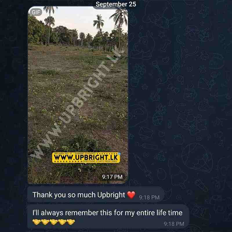 Scroll image 2